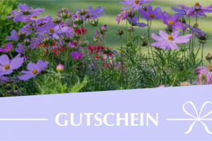 Gutschein